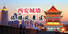 玩孕妇奶水直喷中国陕西-西安城墙旅游风景区